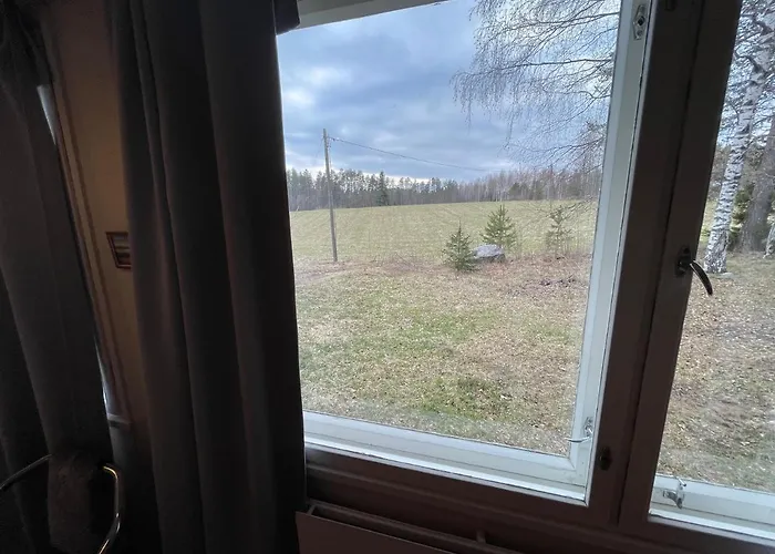 Riihijarven Matkaparkki Juurikka